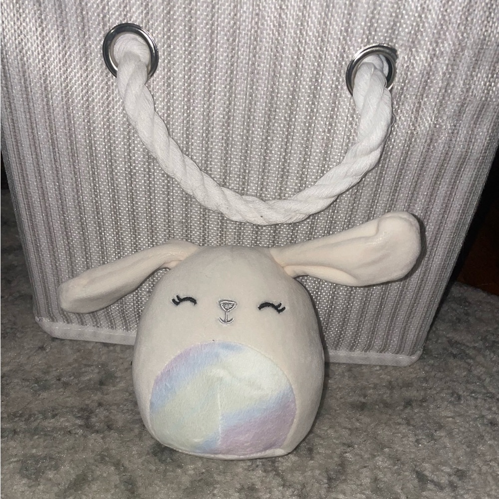 Robyne the Bunny Squishmallow